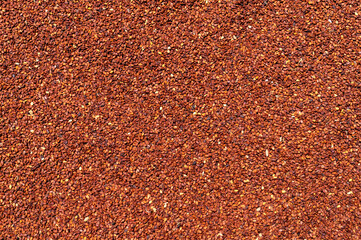 Sesame grain oilseed background. brown color oilseeds