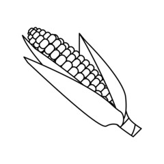 Corn icon. Corn cob icon. Vegetable symbol in outline