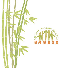 Vector illustration of green bamboo template background