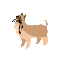 A dog with a leash in his teeth, inviting for a walk