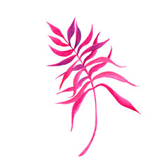 Pink plant branch