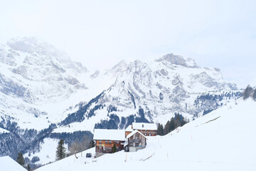 beautiful winter landscape, snow-covered trees, mountainpass, snowfall in the mountains, Swiss Alps in the snow, walks in the winter white forest, tourism, winter sports