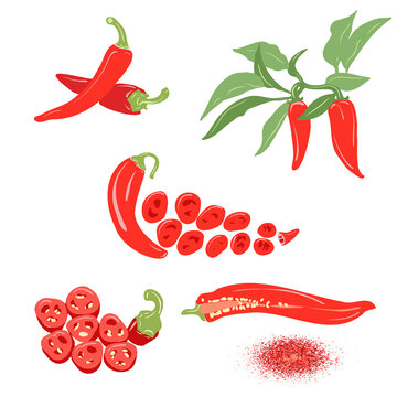 Chili pepper vector set. Pepper on a branch, a pod in a section, ground paprika, slices of chopped red pepper. Color illustration on a white background.