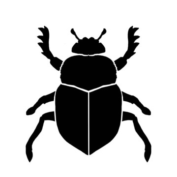 Silhouette of dung beetle on white