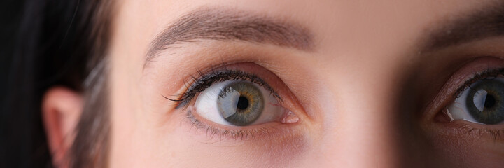 Closeup of female eyes with permanent eyebrow makeup and false eyelashes - obrazy, fototapety, plakaty