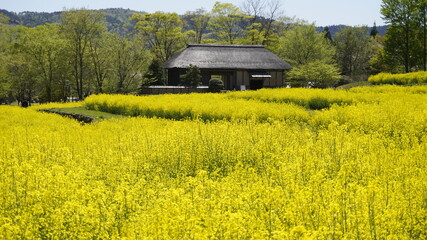 みちのく公園　ふるさと村