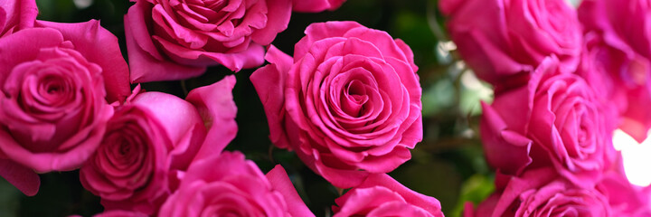 Closeup of large bouquet of pink roses