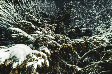 Winter and Snow on the Streets of Polish Moutains.