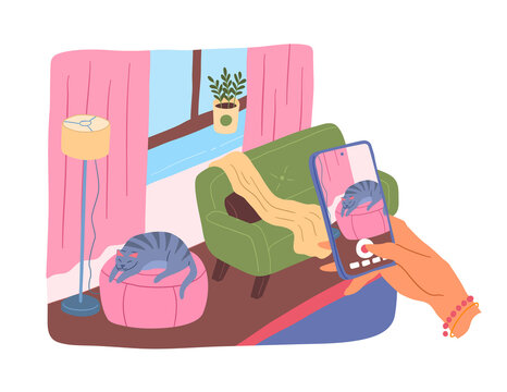 Cartoon Color Taking Picture Smartphone Cat Interior Inside Concept Flat Design Style. Vector illustration of Animal Portrait