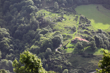 woman working in the park
