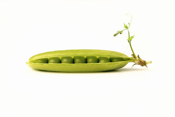 신선하고 깨끗한 완두콩
