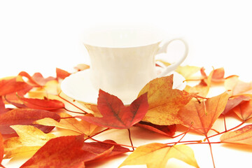 가을 낙엽과 찻잔
