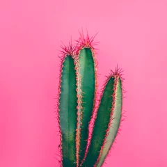 Papier Peint photo Cactus Colorful funky green cactus on pink background. Flat lay mexican desert plant design. Minimal contemporary summer pop art.