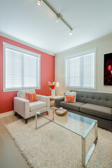 Interior design of a luxury living room