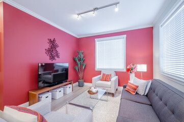 Interior design of a luxury living room