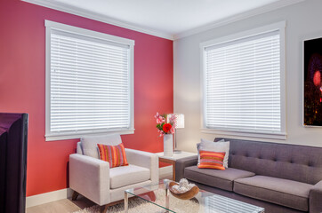 Interior design of a luxury living room