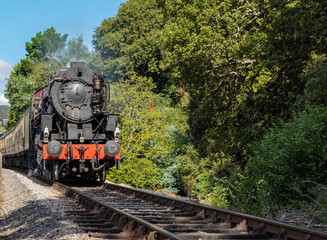 Steam engine approaching Kingswear station, Dartmouth, Devon, United Kingdom