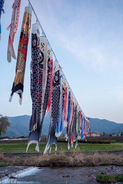 Carp Streamer