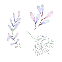 Violet Leaves and Branches Watercolor Isolated Elements Set