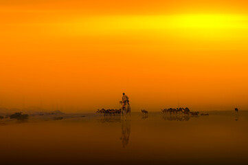 Naklejka premium Camel Shepherd on Desert 
