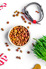 dry dog food in bowl on white background top view