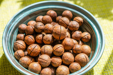 Ripe macadamia nuts in a plate