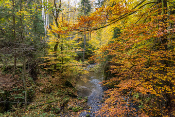 Herbst im Kirnitzschtal