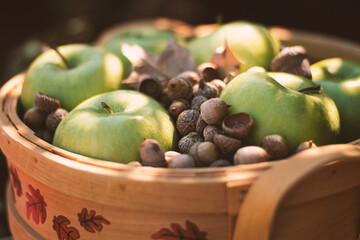Apples and acorns in a fall basket