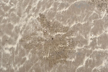 sea sand background texture