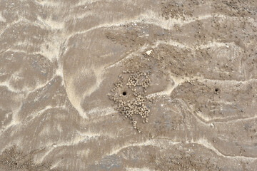 Beach sand texture