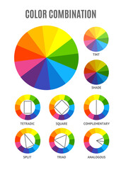Fototapeta premium Different Color Circle Palette Combination Set. Vector