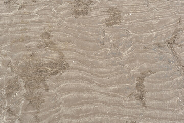 texture of sand