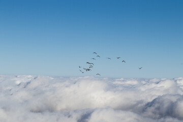 clouds and fog in the mountains