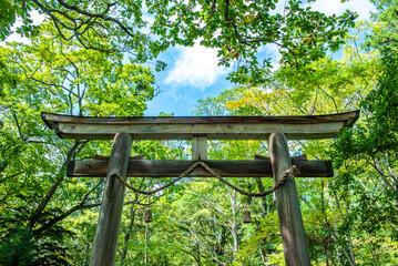 戸隠神社奥社　大鳥居