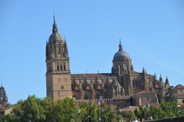 Fototapeta na wymiar Catedral nueva y vieja de Salamanca, Salamanca, Castilla y León (España)