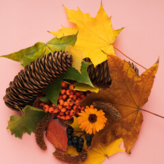 autumn leaves and acorns