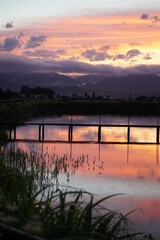 Evening view of the reservoir	