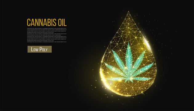 Cannabis oil concept. Low poly hemp and oil drop on black background. Marijuana leaf wireframe light connection structure, 3d polygonal graphic.