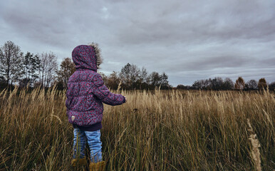 A child girl in a purple jacket with a hood stands and looks away at the landscape. Autumn, dry grass and forest, thick clouds