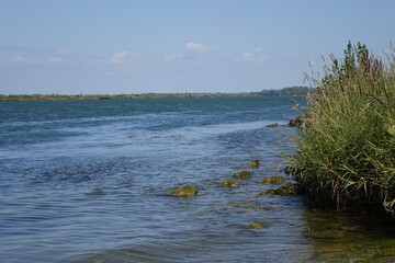 River Rhine shore on a beautiful summer day, Salmengrund, Meißenheim, Neuried, Baden Wurttemberg, Germany

