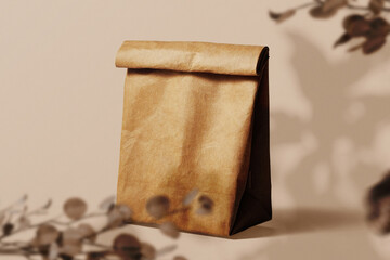 Clean minimal kraft paper bag mockup on background with dry plant
