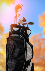 Golf clubs in bag at golf course