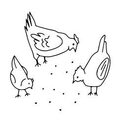Hand drawn black vector illustration of fun chicken family with corns isolated on a white background for coloring book