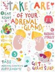 Take care of your adrenal glands. Creative vertical poster in modern style.