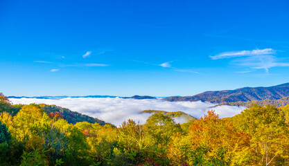Clouds in the valley from Newfound Gap Road in the Great Smoky Mountains National Park in North Carolina