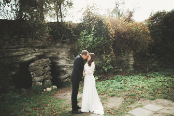 Beautiful young wedding couple is kissing and smiling in the park