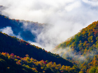 Clouds in the valley from Newfound Gap Road in the Great Smoky Mountains National Park in North Carolina