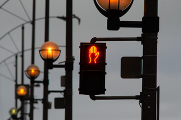 Pedestrian traffic signal saying 'Don't Walk'.
