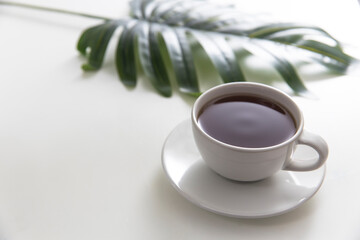 Cup of coffee with saucer with palm leaf and monstera leaf shadow on white table. Minimalism. Copy space
