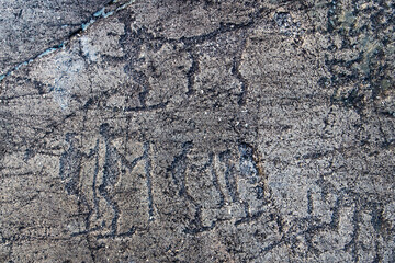 White Sea petroglyphs (ancient rock paintings) in Zalavruga, 4,5 thousand years BC. Belomorsk, Karelia, Russia. Elk and Calf